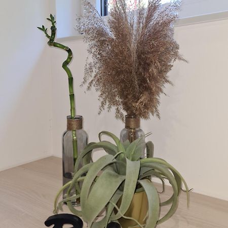 קופר Balance Apartments מראה חיצוני תמונה