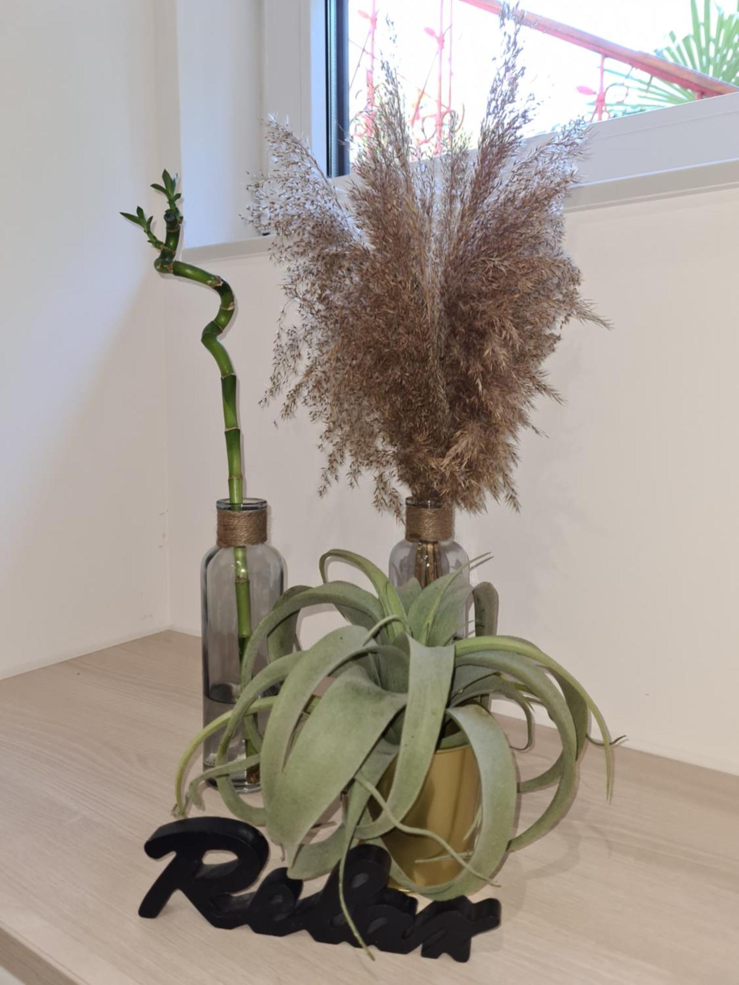 קופר Balance Apartments מראה חיצוני תמונה
